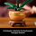 LEGO Botanicals 10343 Mała orchidea - 1283645 - zdjęcie 7